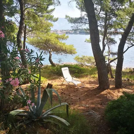 House Albertina בית נופש *