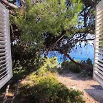 House Albertina Hébergement de vacances Selca (Brac)