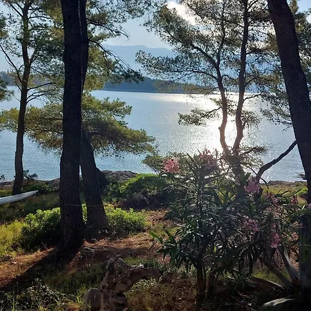 House Albertina Vakantiehuis *