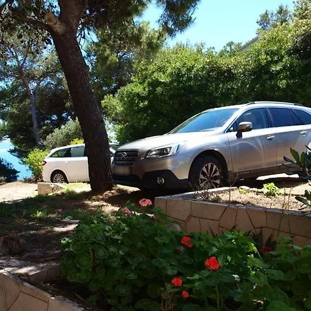 Vakantiehuis House Albertina Selca (Brac)