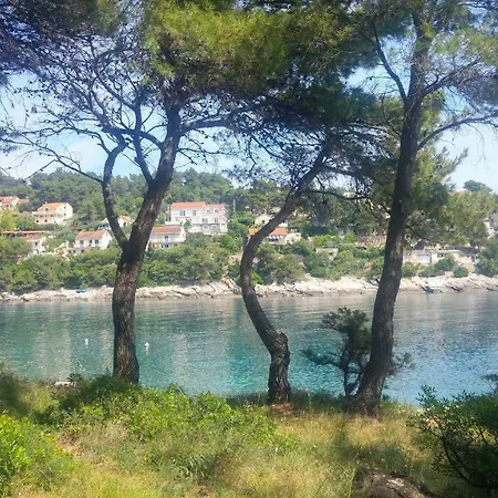 House Albertina 別荘 Selca